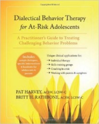 A Practitioner's Guide to Treating Challenging Behavior Problems: A Practitioner's Guide to Treating Challenging Behavior Problems