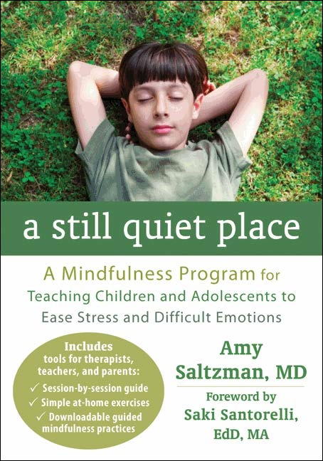 A Still Quiet Place: A Mindfulness Program for Teaching Children and Adolescents to Ease Stress and Difficult Emotions (cover)